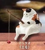 Adorable Animal Miniature Cat Fishing Gashapon Playthings Scotland Fold Black and White Norwegian Calico Cat Action Figure Playthings 4CM