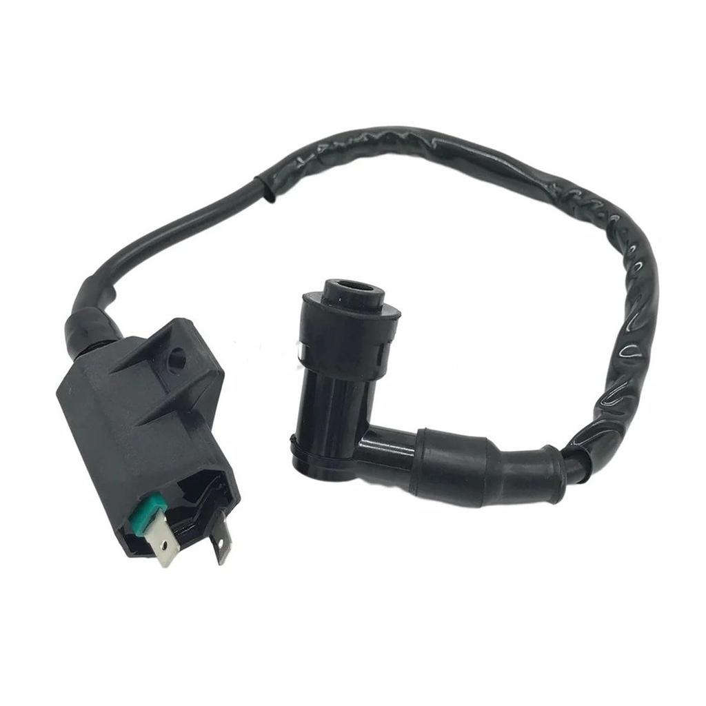 Motorcycle Ignition Coil Ignition Coil for Eliminator 125 KLX110 BN125 KLX300 KLR650 125CC Ignition Starter