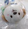 [USED] RIIZE Anton WE LITTLE RIIZE Doll Keyring