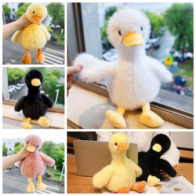Bebek ve Peluş Oyuncaklar – Doldurulmuş ve Peluş oyuncak hayvanlar