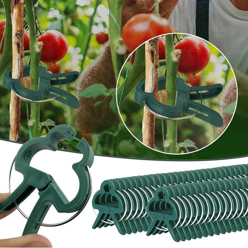 50PCS Reusable Plant Support Clips Garden Greenhouse Plastic Clips Tomato Cucumber Vine Vegetable Stem Gardening Tools