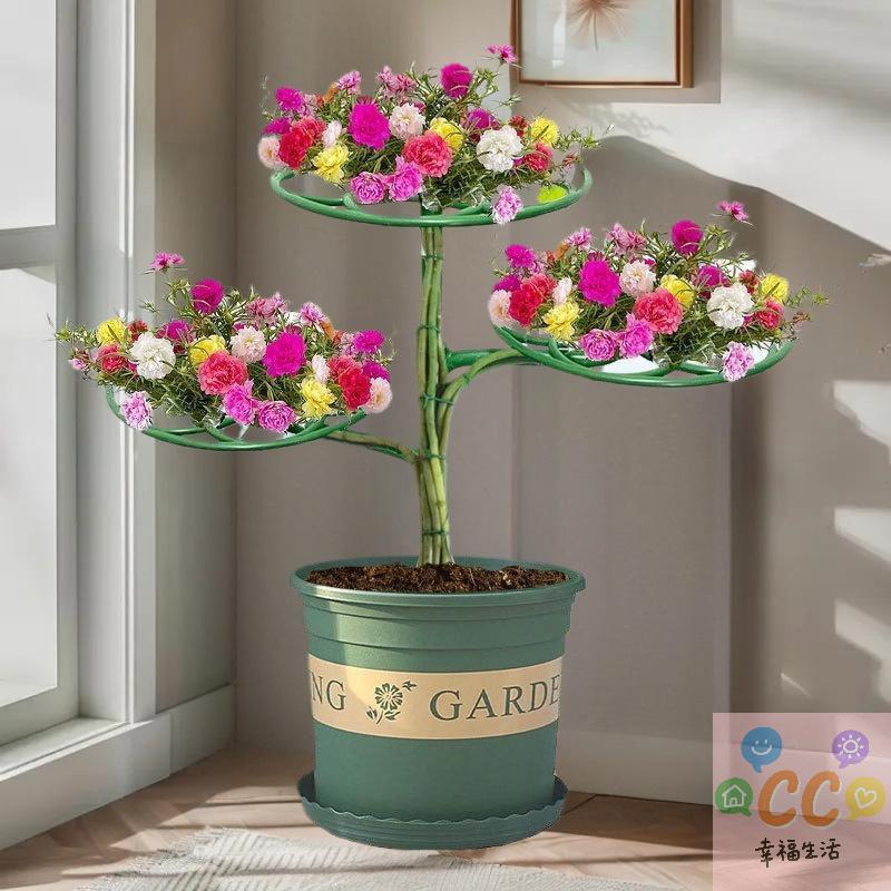 2/3 Layers Sunflower Flower Support Stand Plant Support Rack For Climbing And Grafting