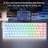 Wired Mechanical Keyboard with Magnetic Switch Gaming Keyboard 0.01mm Rapid Trigg Compact Keyboard 128K Sampling Rate for Gaming