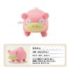 Pokemon Moving Mini Figure Pokemon Collection Box Japan NEW
