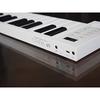 TAHORNG OP49 Foldable Electronic Piano MIDI Controller Oripia-49 49 Keys