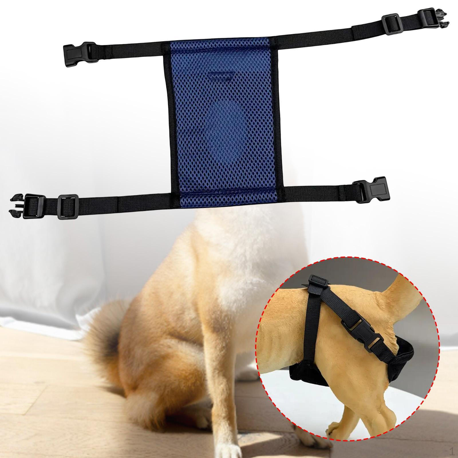 

Female Dog Diaper Period Pants Pet Supplies Doggy Breathable Washable Reusable navy blue L