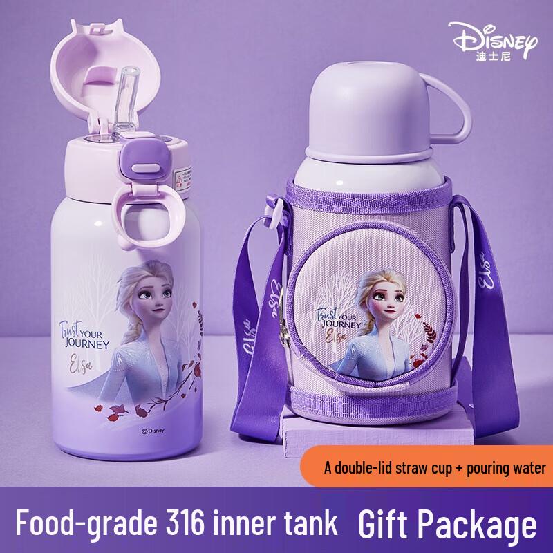 Disney Kids 316 Stainless Steel Insulated Sippy Cup