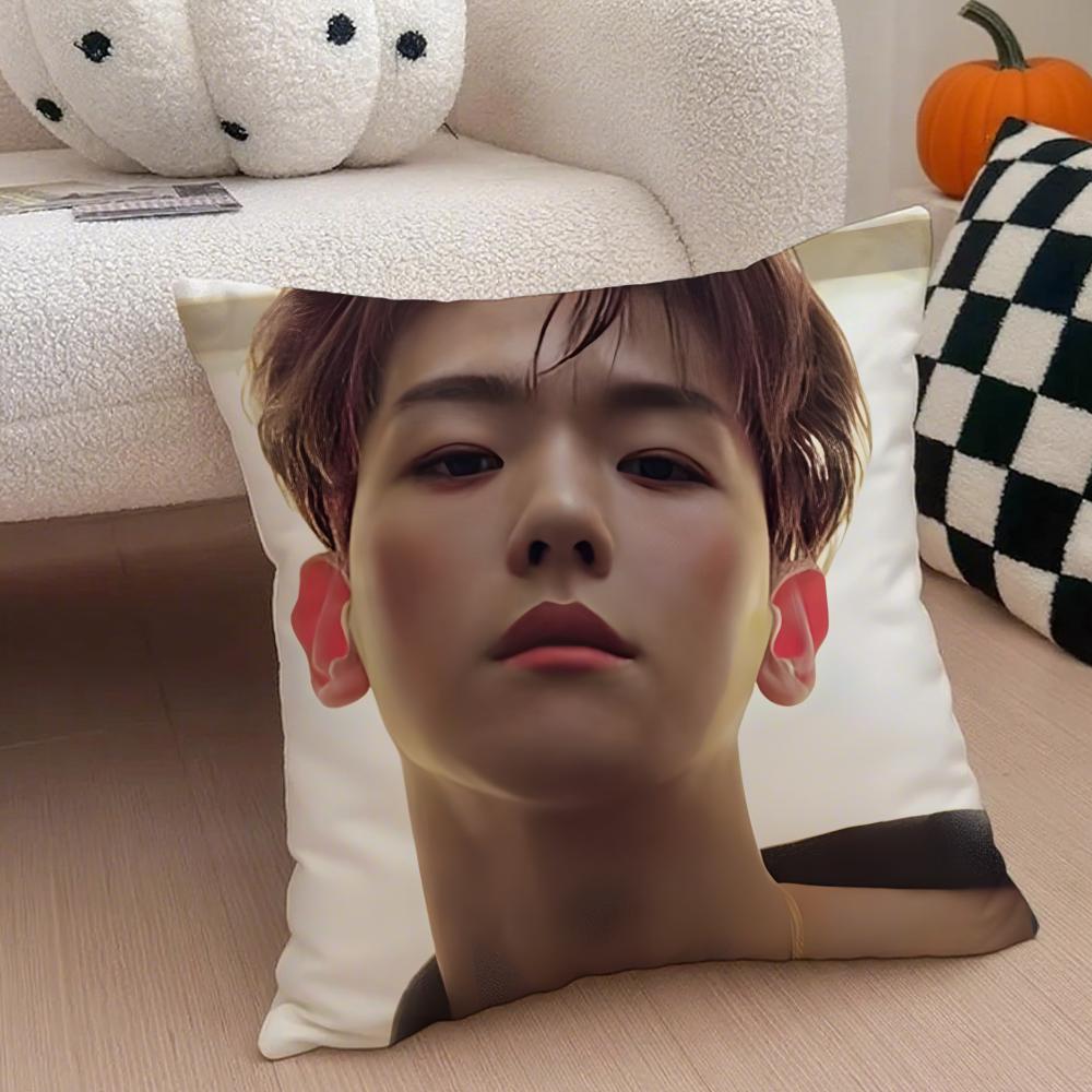 Classic Korean Handsome Singer BByun Baekhyun Cushion Cover Throw Pillow Cover Hidden Button Durable Polyester Chair Cushion