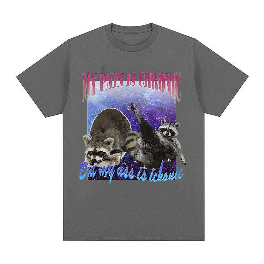 My Pain Is Chronic But My Ass Is Iconic Meme T Shirt Funny Sad Opossum Graphic TShirt Mens Women Fashion Cotton Oversized Tees