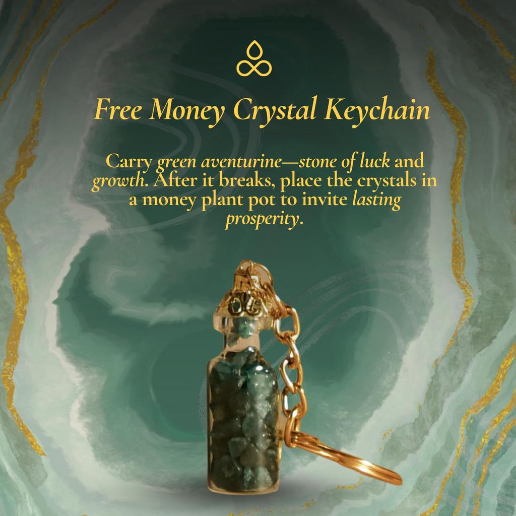 CALMVEDA Attract Money Incense Sticks - for Manifestating Abundance 80+ Sticks