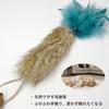 Set of 3 Cat Toys Made with Natural Feathers and Genuine Rabbit Hair, with Catnip Fruit Carrot-Shaped Plush Toy, Cat Teaser, Feather Toy, Stress