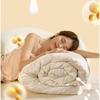 Hengyuanxiang Antibacterial Soybean Quilt