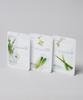 Daily Care Sheet Mask Soothing Care 30 Sheets (Aloe + Cucumber + Tea Tree)