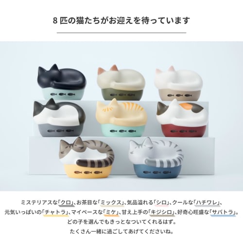 Radius HP-C28BT True Wireless Earphones: NEKO True Wireless Earphones, Bluetooth Compatible, Fully Wireless, Left and Right Separated Earbuds, AAC, Li