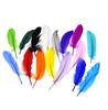 50pcs Natural Goose Feathers 15-20cm, Pure Soft DIY Craft Feathers for Home Decor, Balloons, Jewelry & Fashion Embellishment