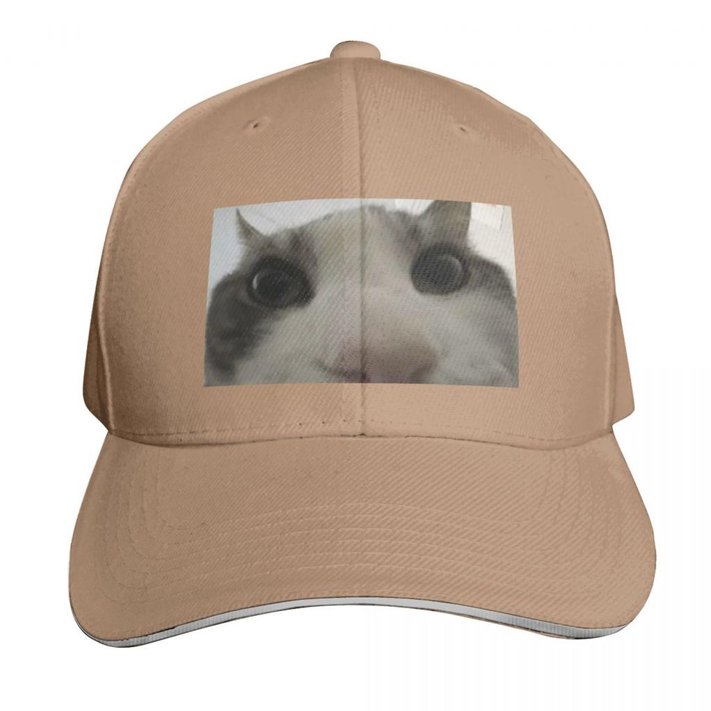 Cat looking inside box meme Baseball Cap party Hat Unique hats Sports Cap fun hats Hats Women Unisexs