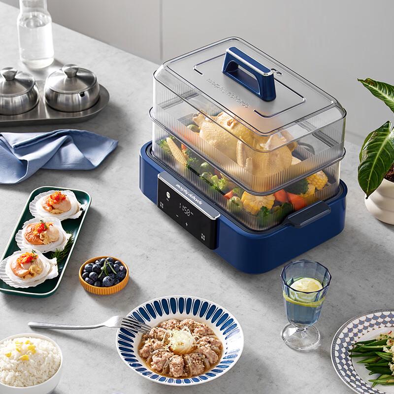 Morphy Richards MR1158 Multifunctionele Elektrische Stomer