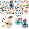 Dolphins Sharke Penguins Children Marine Animal Figures Set Model Toys Decor