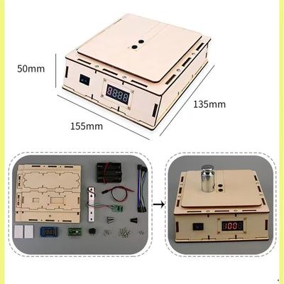Wooden Electric Digital Scale Model Kids Science Toy Technology Physics DIY Bricks Kit Learning Toys for Children