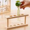 Modern Nordic Wooden Frame Hydroponic Test Tube Vase Hydroponic Green Plant Container Creative Crafts Decoration for Home Office