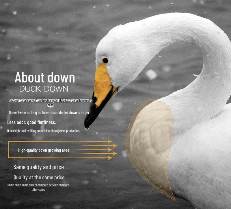 98% White Duck Down Feathers for Quilts & Clothing Filler