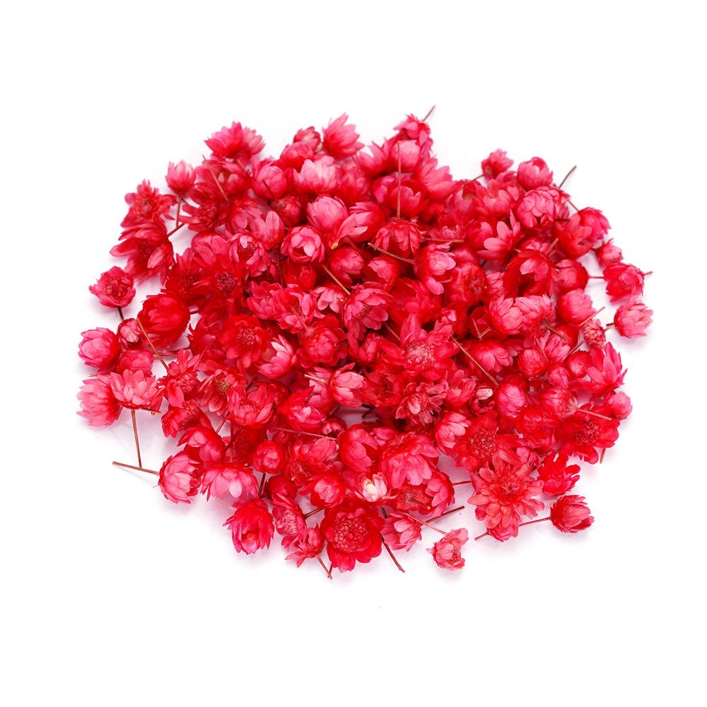 5mm~ 8mm Bags of Dried Flowers, Natural Little Star Flower Head, Handmade DIY Group Fan Crystal Epoxy Decorative Dried Flowers