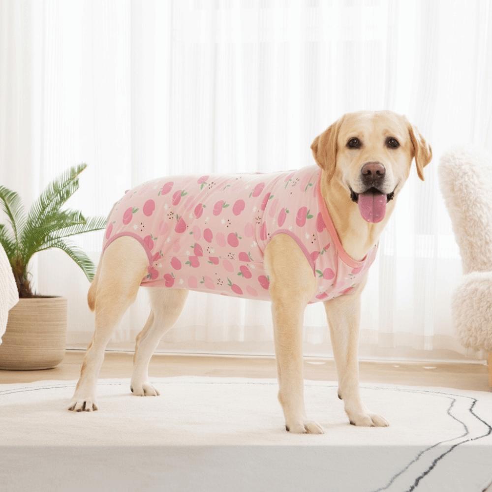 Cartoon Anti-Lick Dog Romper Cotton Dog Sterilization Suit Dog Bodysuit  Pet Care