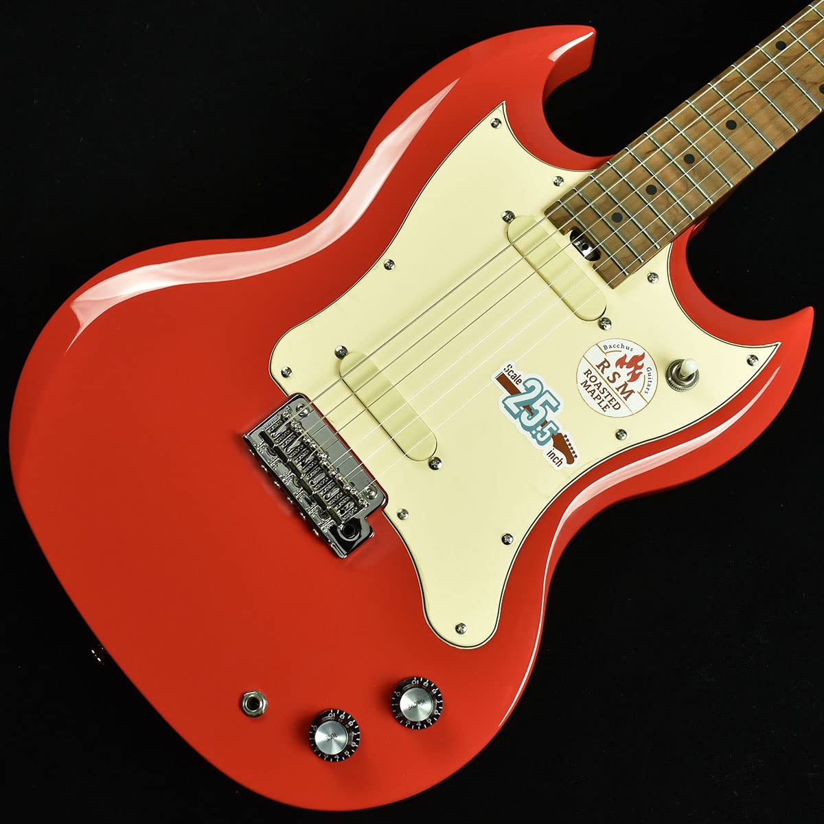 

Bacchus OWH GI07540 Bacchus BSM-STD/RSM S/N