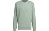 Lounge Sweatshirts Men's Dusty Green Crew Neck Moderate Regular IK2796