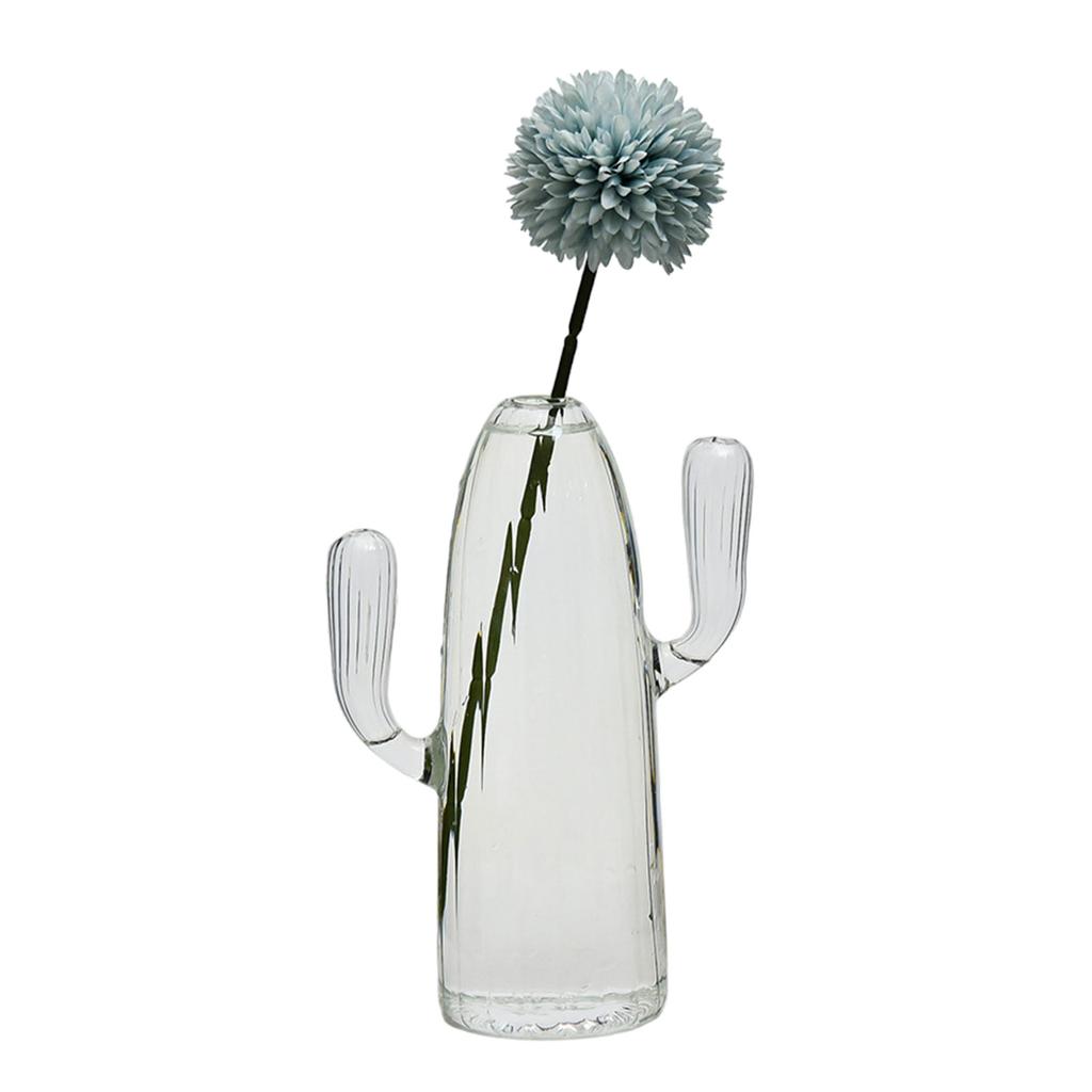 Cactus Glass Vase Hydroponic Plant Flowerpot Livingrooms Decorations Aromatherapy Bottle Flower Arrangement Home Decors