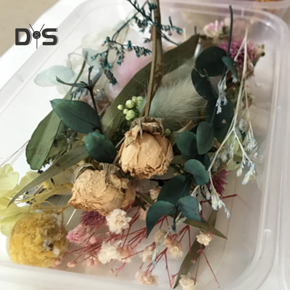 1 Box Preserved Dried Plant DIY Candle Jewelry Making Craft Decor