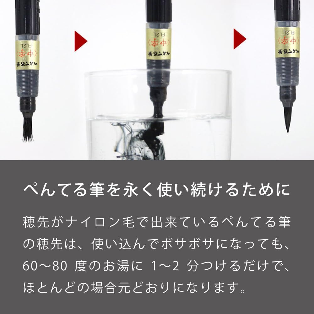 Pentel Brush Pen Pentel Brush Pigment Ultra Fine Black 10 Packs XFP5F (10)