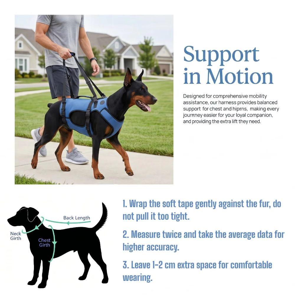 Adjustable Dog Rehabilitation Vest Breathable Pet Support Sling  Senior Dogs