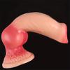 Einfügbarer Riesiger Hund Falscher Penis Realistischer Dildo Doppelte Penetration Analer Stöpsel Monster-Schwanz Vagina G-Punkt Stimulation Masturbation Sexspielzeug für Erwachsene für Unisex