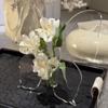 Transparent Hydroponic Flower Vase INS Style Desktop Ornament Butterfly Acrylic Vase  Banquet