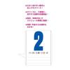 Shin Nippon Calendar 2027 Wall Hanging Jumbo 3 Color Text Timeline 770520mm NK191