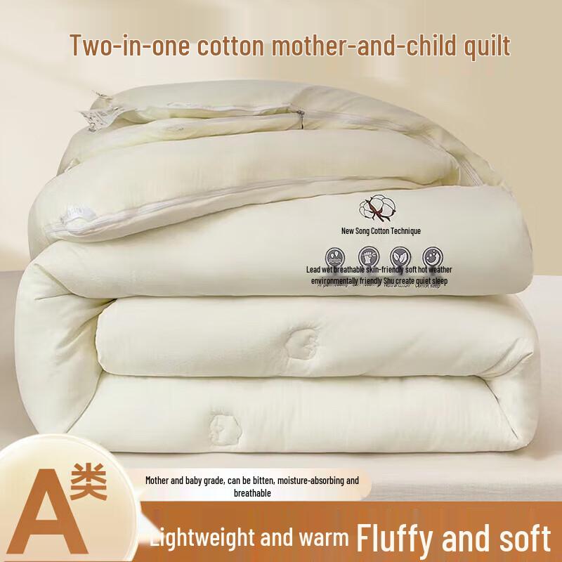 DZQ Thickened Warm 2-in-1 Winter Duvet
