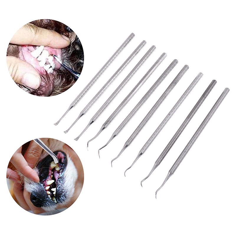 Buy Pets Dog Scaler Remover Scraper Tartar Calculus Tooth Dental Teeth ...