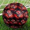 Ahly Football club Printed Size 5 Soccer Balls, High-Quality, Anti-Slip, Protective Football, A Unique Gift , Birthdays, Christmas Gifts