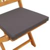 Folding Chair with Cushion 2 Pcs Brown Solid Acacia Wood