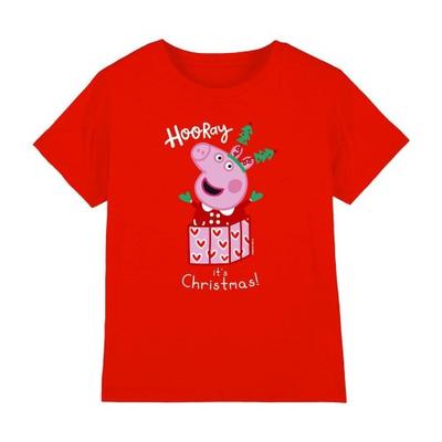 Childrens/Kids Present Christmas T-Shirt