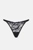 Thong Panties Kleo (91063)