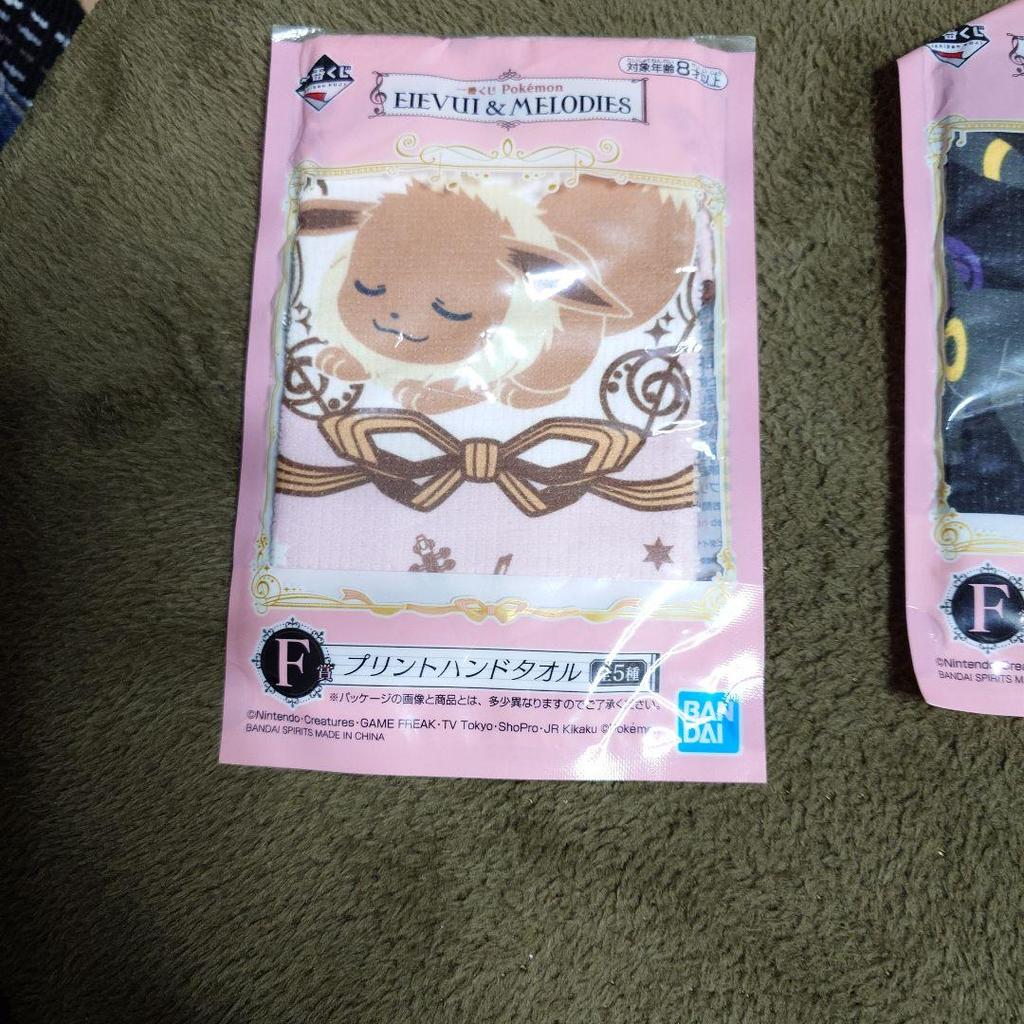Pokemon Eevee Evolutionary Line Towel Set Rubber Keychain.