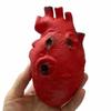 Realistic Scary Halloween Prank Prop: Fake Heart & Brain for Haunted House, Bar, or Escape Room Decoration