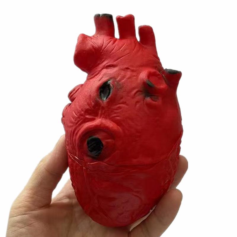 Realistic Scary Halloween Prank Prop: Fake Heart & Brain for Haunted House, Bar, or Escape Room Decoration