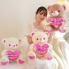 Cute Hug Bear Teddy Bear Doll Plush Toy Love Bear Hug Bear Doll Children's Soothing Ragdoll