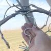 10Pcs Shape Fixator Branch Shaping Device Metal Branch Bending Tools  Fruit Tree Training