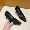 High Heels Women 2025 New Internet Celebrity Suede Fashion Versatile Autumn Women's Shoes Korean Version Banquet Thin Heel Pointed Shoes