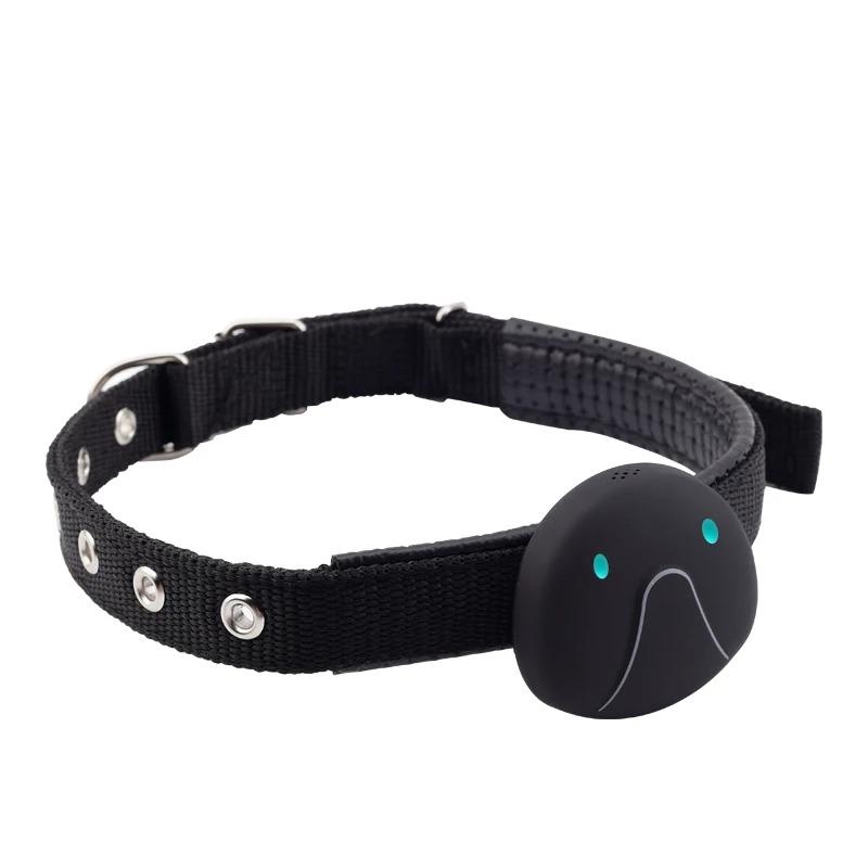 Ip67 Waterproof Gps Pet Tracker 4g Networks Locator With Collar For Dogs,cats