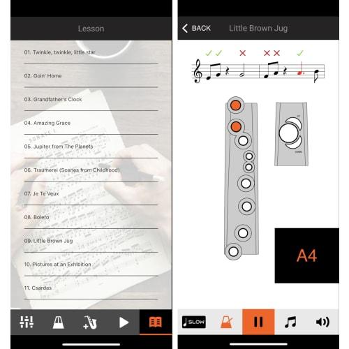 Roland AEROPHONE AE-01 Digital Wind Instrument with Recorder Fingering, App and Bluetooth Compatible